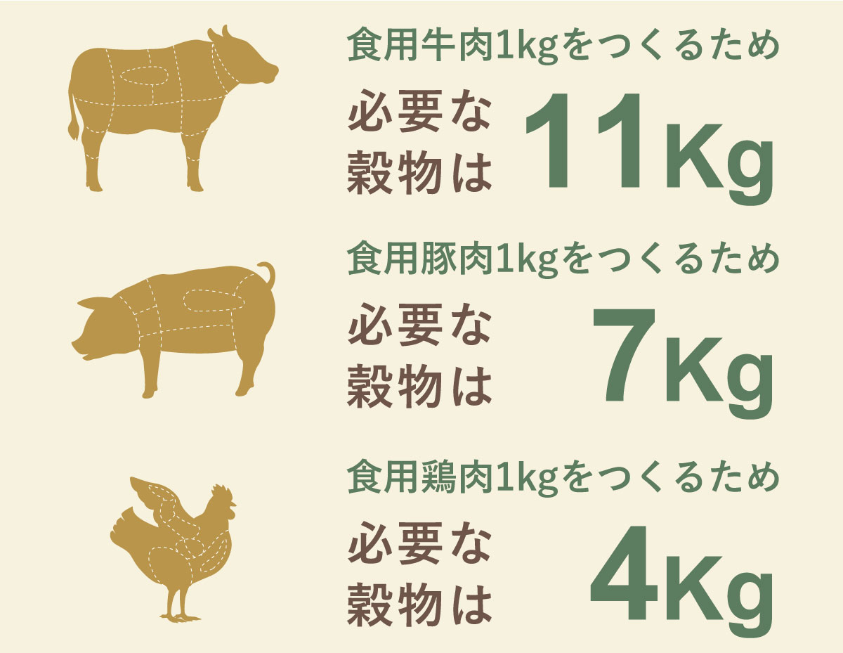 お肉を作るには、大量の作物が必要